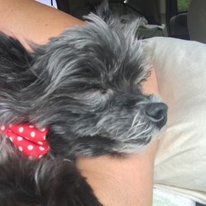 Meet your Posher, Renee